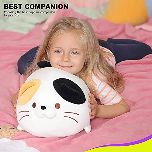 Onsoyours Super Soft Cat Plush Toy, Fluffy Chubby Kitty Stuffed Animal –  worldswheels